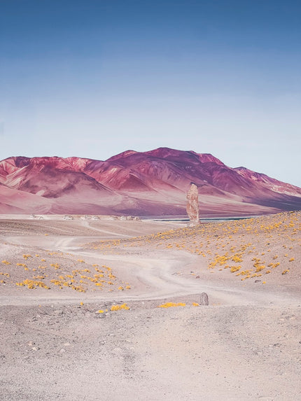 Gigante de la Pakana