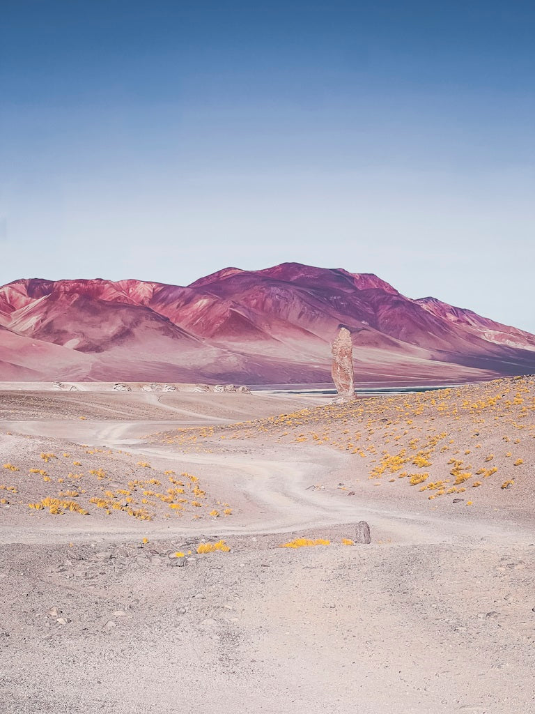 Gigante de la Pakana